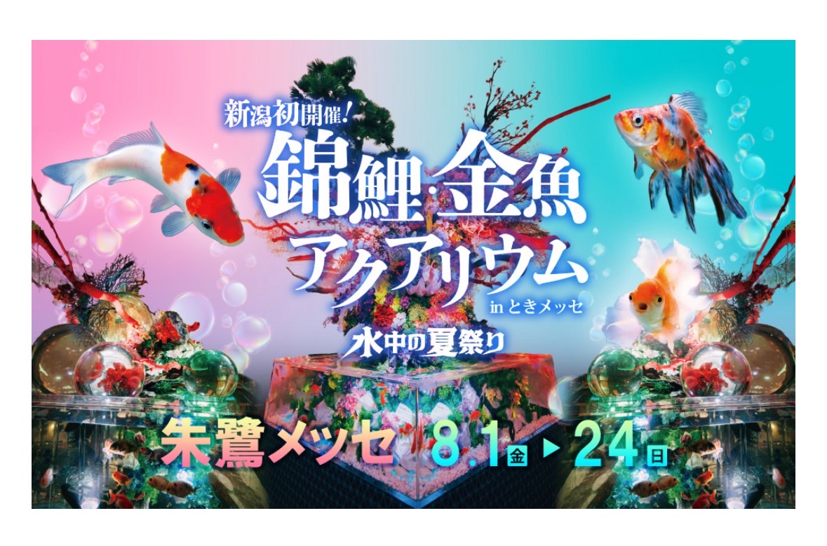 新潟初開催！錦鯉・金魚アクアリウムinときメッセ | 株式会社エヌエス